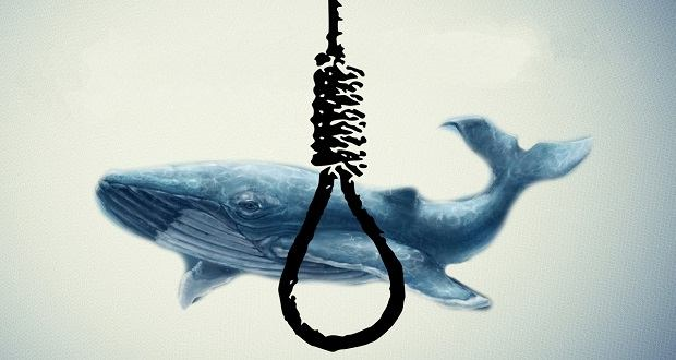 خودکشی دانش آموزان ایرانی با بازی نهنگ آبی