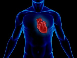 قسمت چهارم دکتر سلام | روش های درمانی بیماری های قلبی