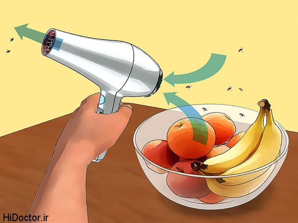 چطوری سریع مگس را از روی میوه برانیم 1