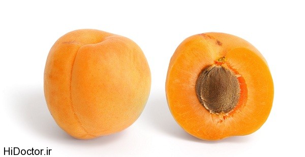 apricots zardaloo 9 زردآلو به روایت تصویر