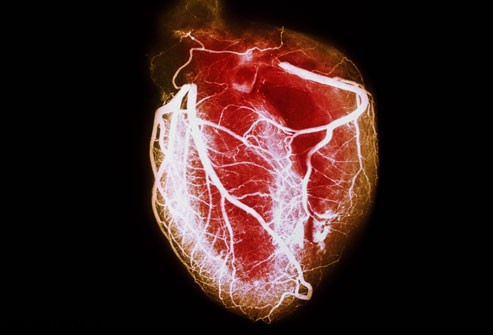 اطلاعاتی تازه و مهم راجع به قلب 1