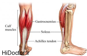 Achilles-tendon-photo