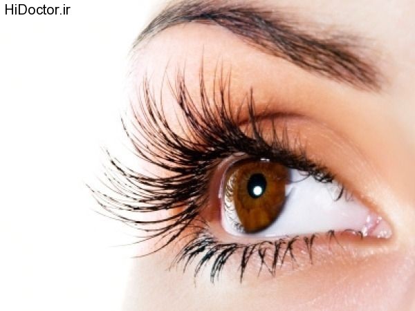 eyelashes_600x450