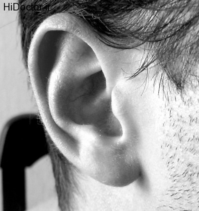 2-ear-photo