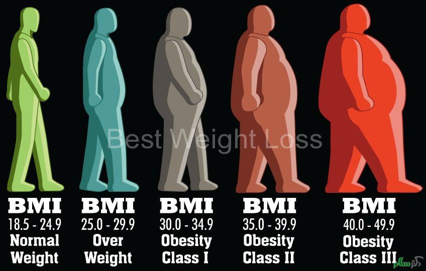 body-mass-index