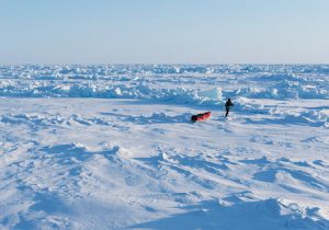 ده دانستی شگفت انگیز درباره قطب شمال