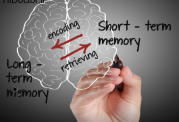 چگونگی عملکرد ذهن و حافظه