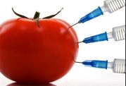 اصلاح ژنتیک در راه اصلاح طعم گوجه فرنگی