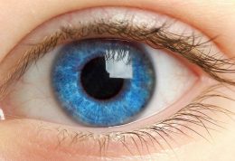 درباره خطر خشکی چشم و عوارض ابتلا به آن چه می دانید؟