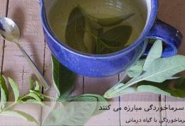 7 گیاه که با سرماخوردگی مبارزه می کنند