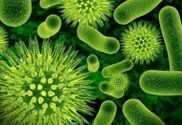 قابلیت سازگاری و استقرار میکروب ها در بدن انسان