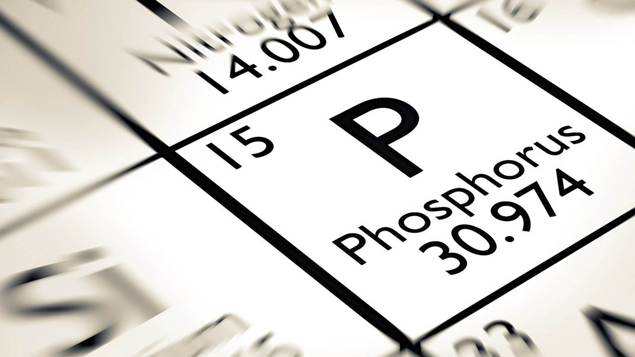 میزان فسفری که هر روز باید مصرف کنیم